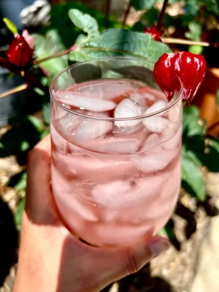 Refreshing Roselle – Home Grown Hibiscus Tea